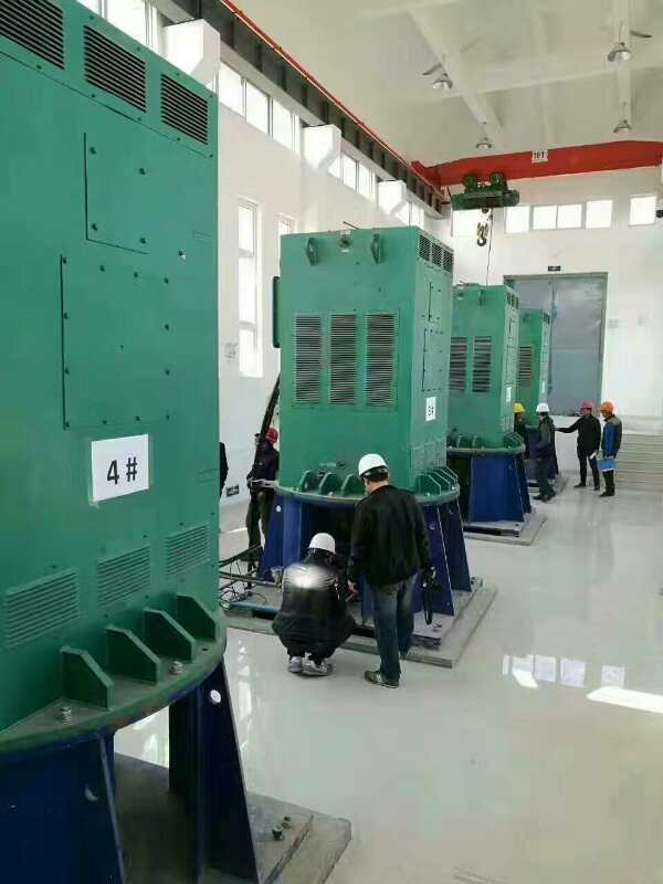 YR630-4某污水处理厂使用我厂的立式高压电机安装现场