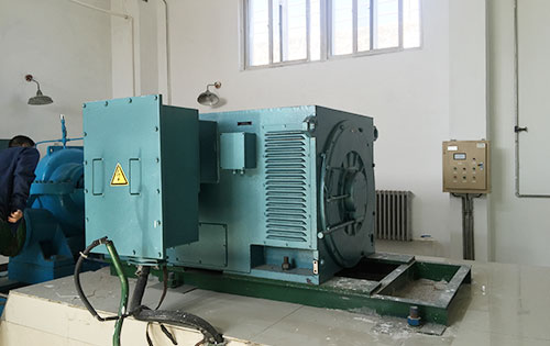 YR630-4某水电站工程主水泵使用我公司高压电机