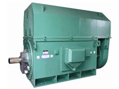 YR630-4Y系列6KV高压电机